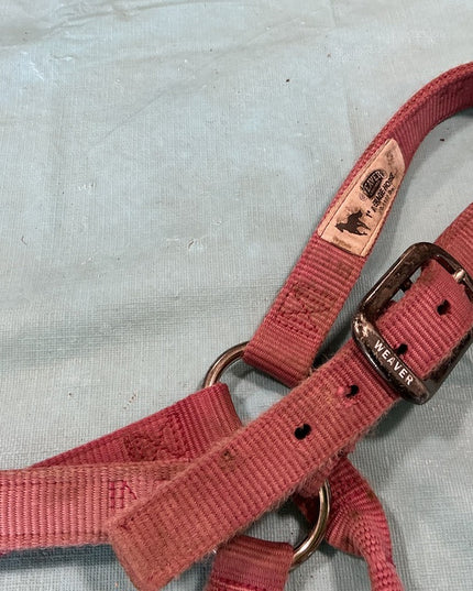 Halter Nylon Pink Weaver Average Horse 