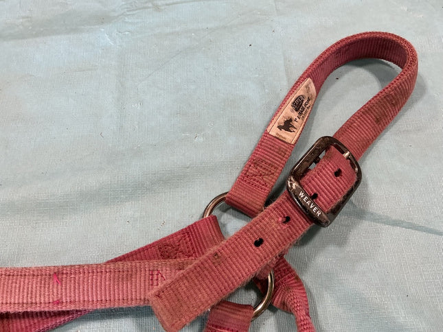 Halter Nylon Pink Weaver Average Horse 