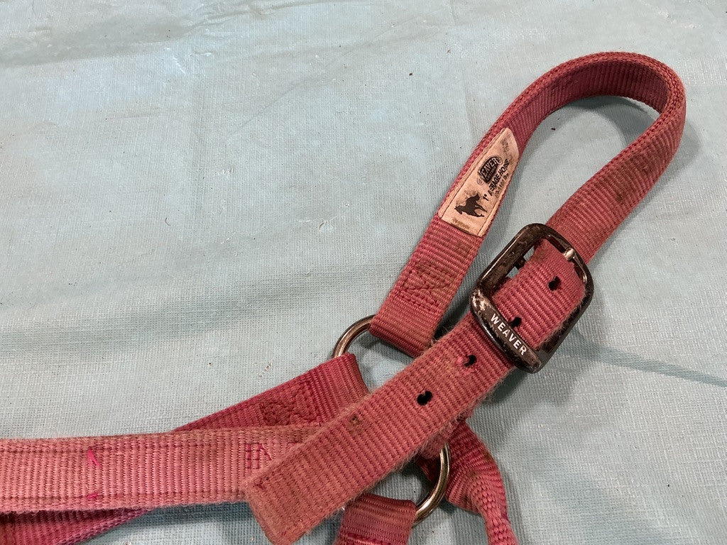 Halter Nylon Pink Weaver Average Horse 