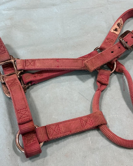 Halter Nylon Pink Weaver Average Horse 