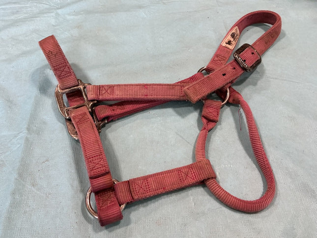 Halter Nylon Pink Weaver Average Horse 