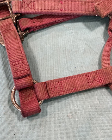 Halter Nylon Pink Weaver Average Horse 