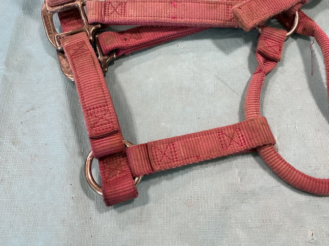 Halter Nylon Pink Weaver Average Horse 