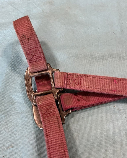 Halter Nylon Pink Weaver Average Horse 