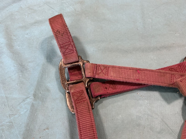 Halter Nylon Pink Weaver Average Horse 