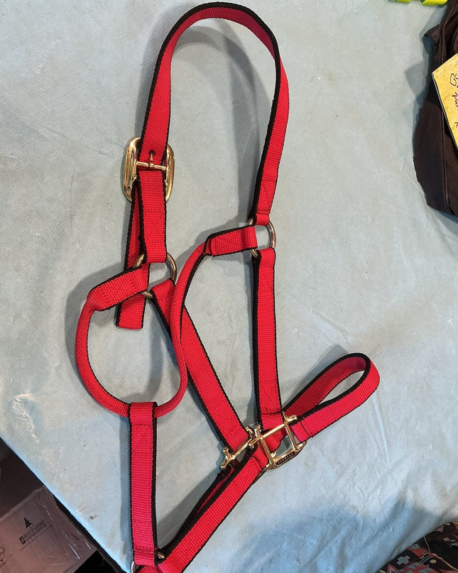 Halter Nylon Red Large