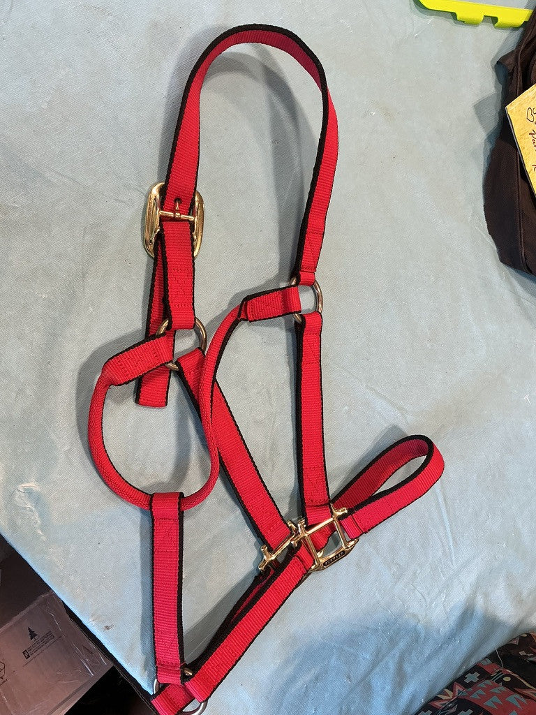Halter Nylon Red Large