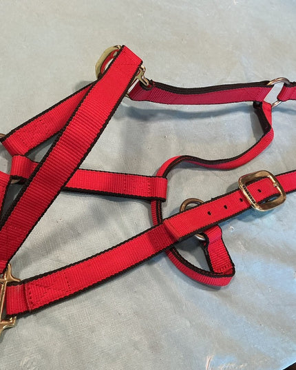 Halter Nylon Red Large
