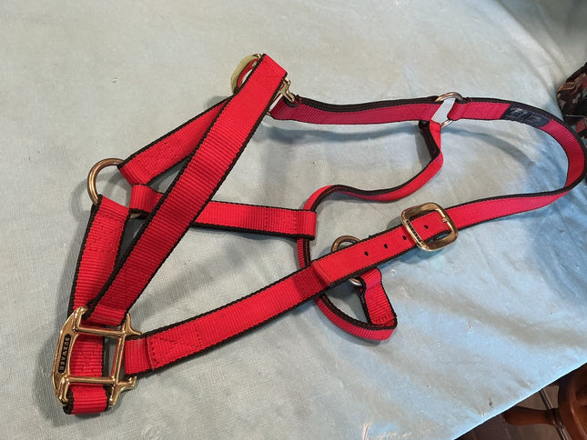 Halter Nylon Red Large