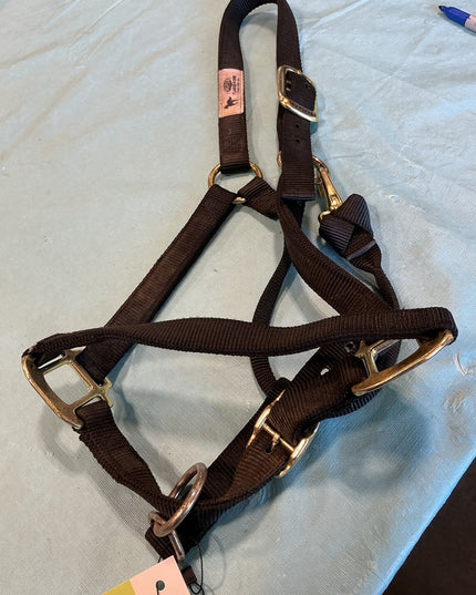 Halter Nylon Black Large