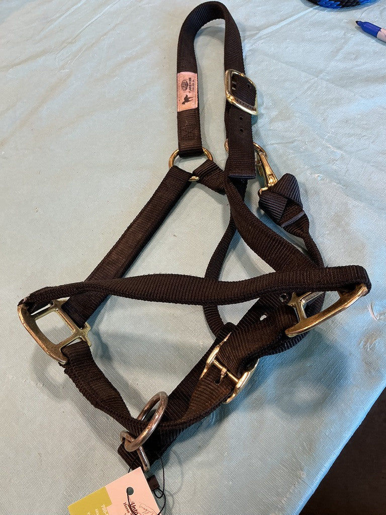 Halter Nylon Black Large