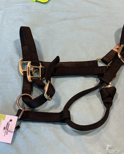 Halter Nylon Black Large