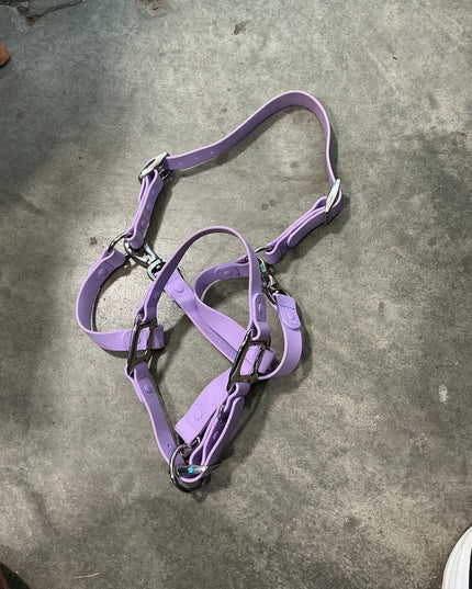 Halter Cob Purple I Cavalos Collection *USED*
