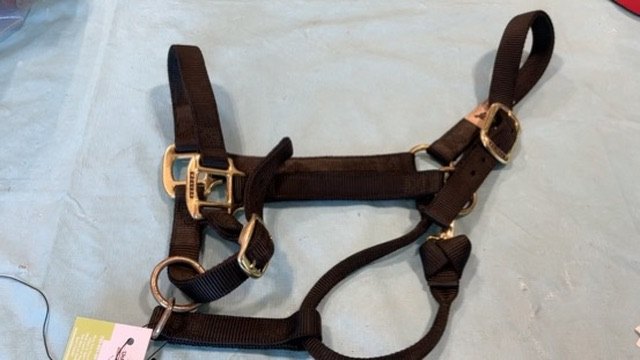 Halter Nylon Black Large