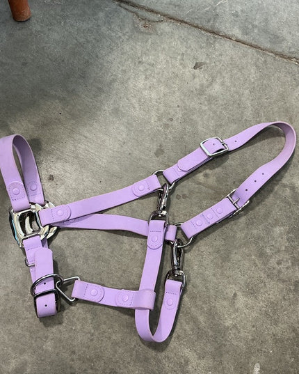 Halter Cob Purple I Cavalos Collection *USED*
