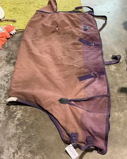 Blanket Winter Purple 75" 50G