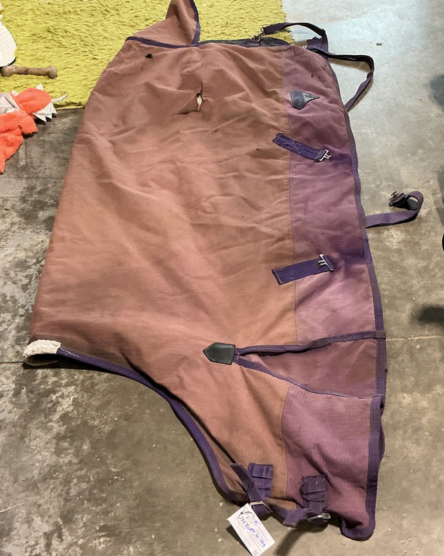 Blanket Winter Purple 75" 50G