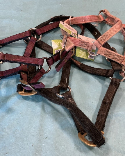 Halters Nylon Set of 3 Foal 