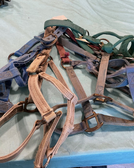 Halter Nylon Variety Bundle #5
