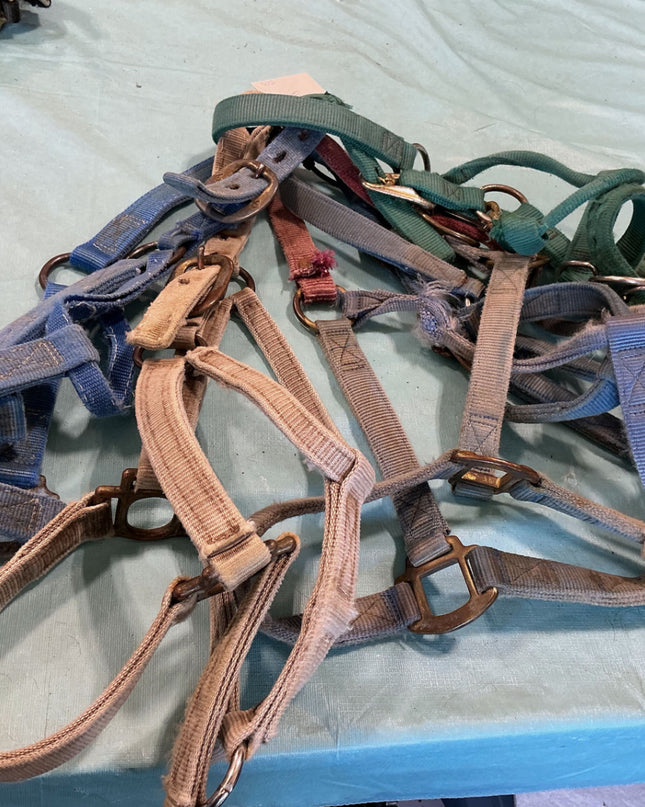 Halter Nylon Variety Bundle #5