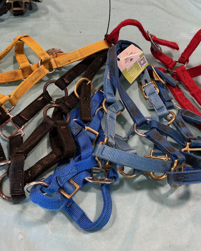 Halter Nylon Variety Bundle #6 Weanling/Pony 