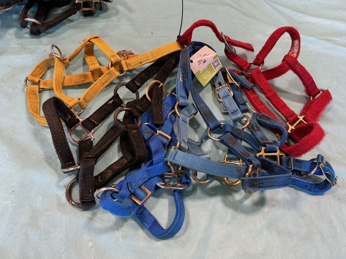Halter Nylon Variety Bundle #6 Weanling/Pony 