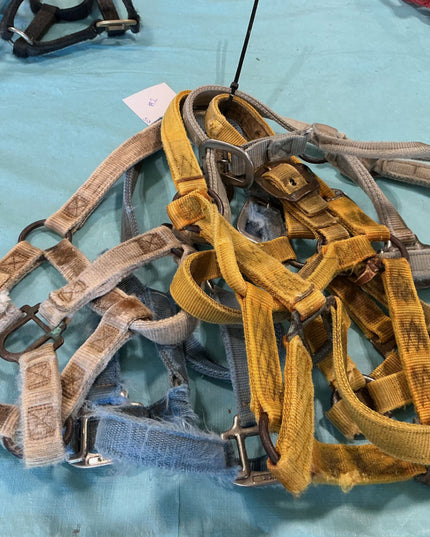 Halter Nylon Variety Bundle #2