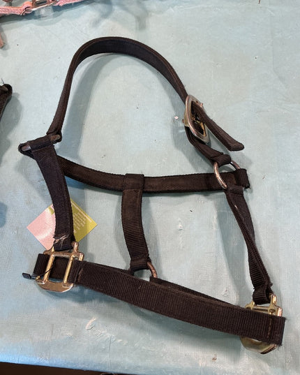 Halter Nylon Black