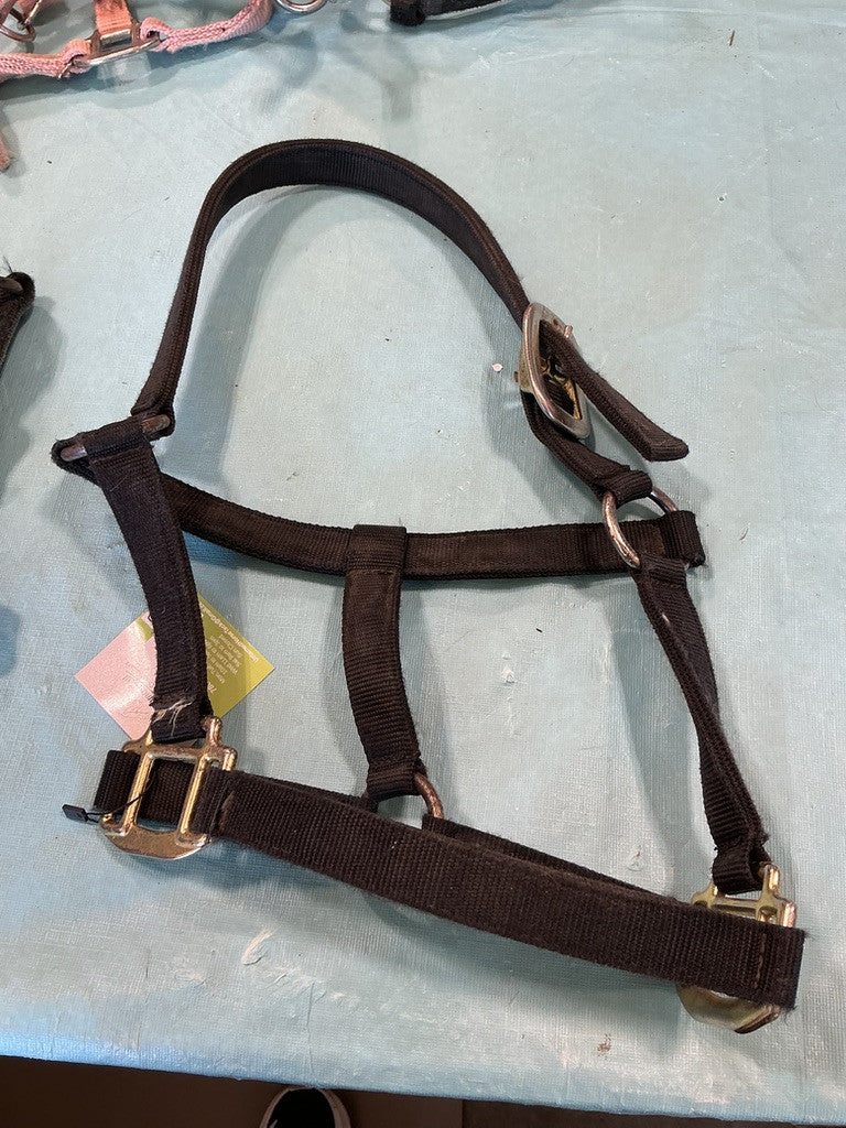 Halter Nylon Black