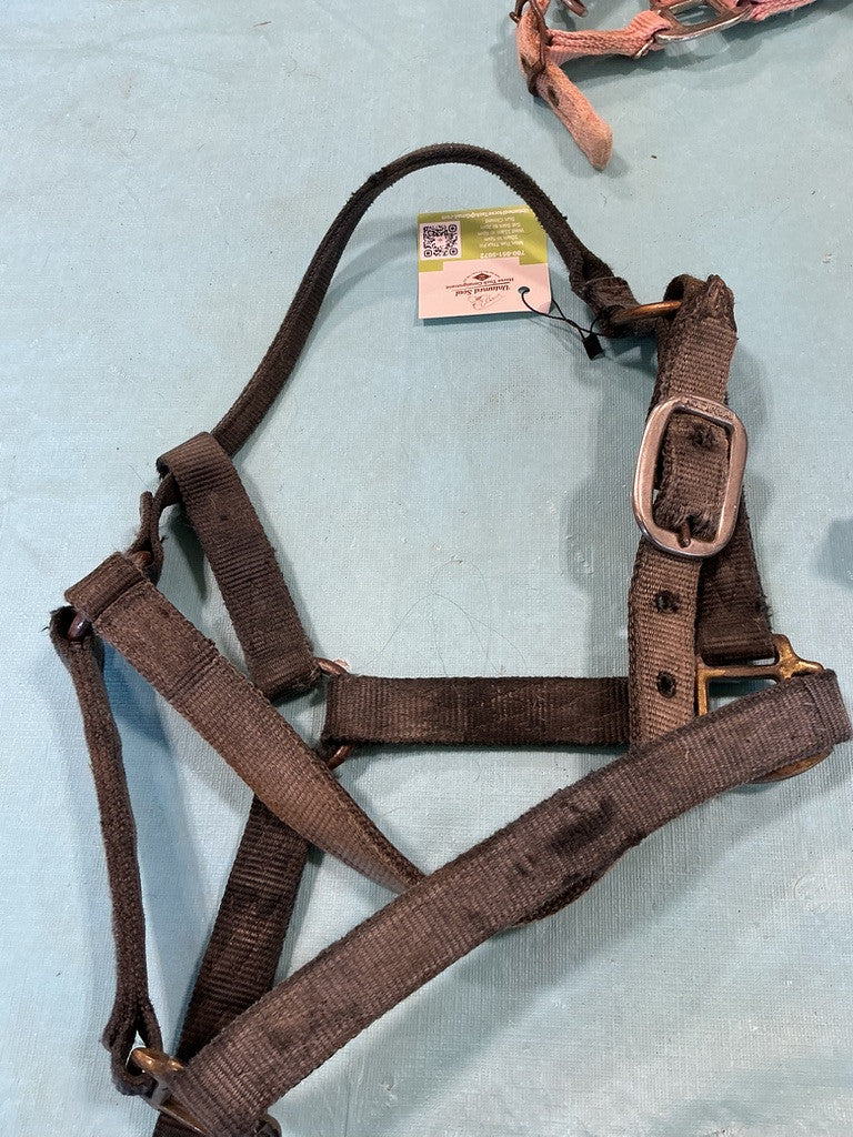 Halter Nylon Faded Black