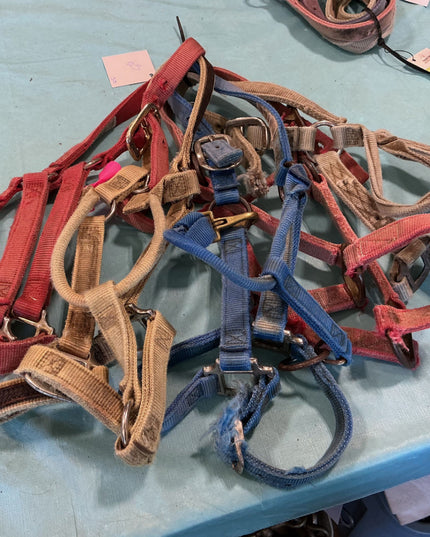 Halter Nylon Variety Bundle #3
