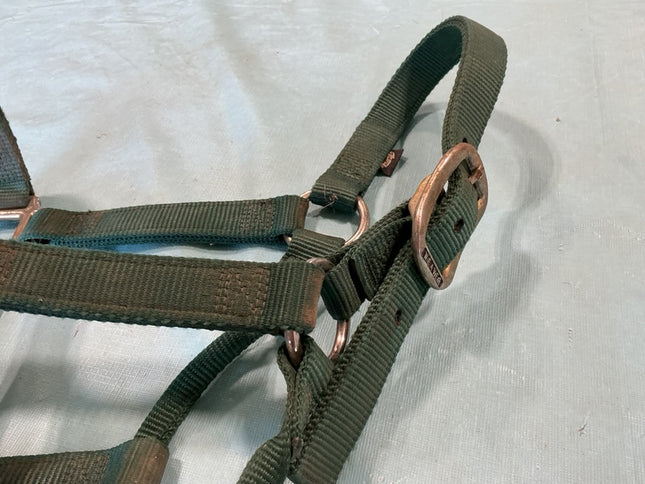 hlater nylon green