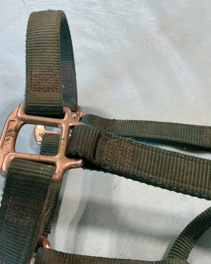 hlater nylon green