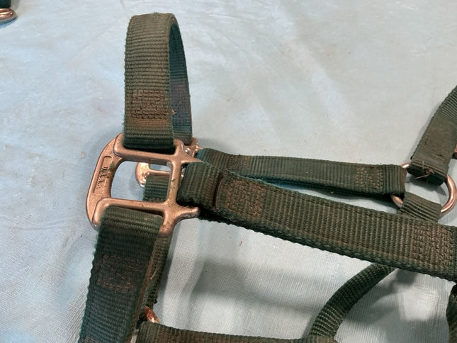 hlater nylon green