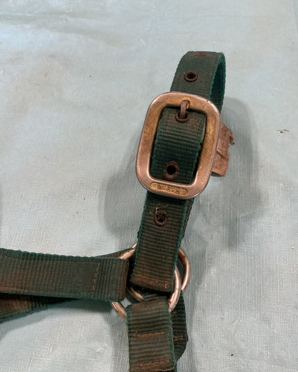 halter nylon green Yearling/Pony