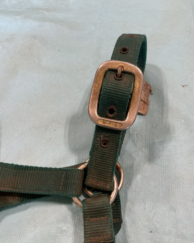halter nylon green Yearling/Pony