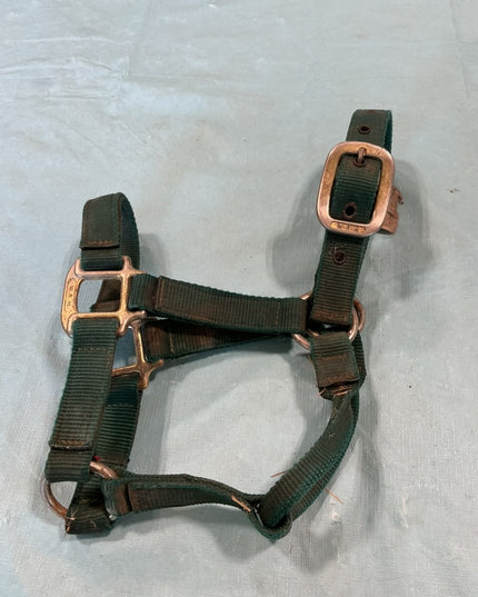 halter nylon green Yearling/Pony