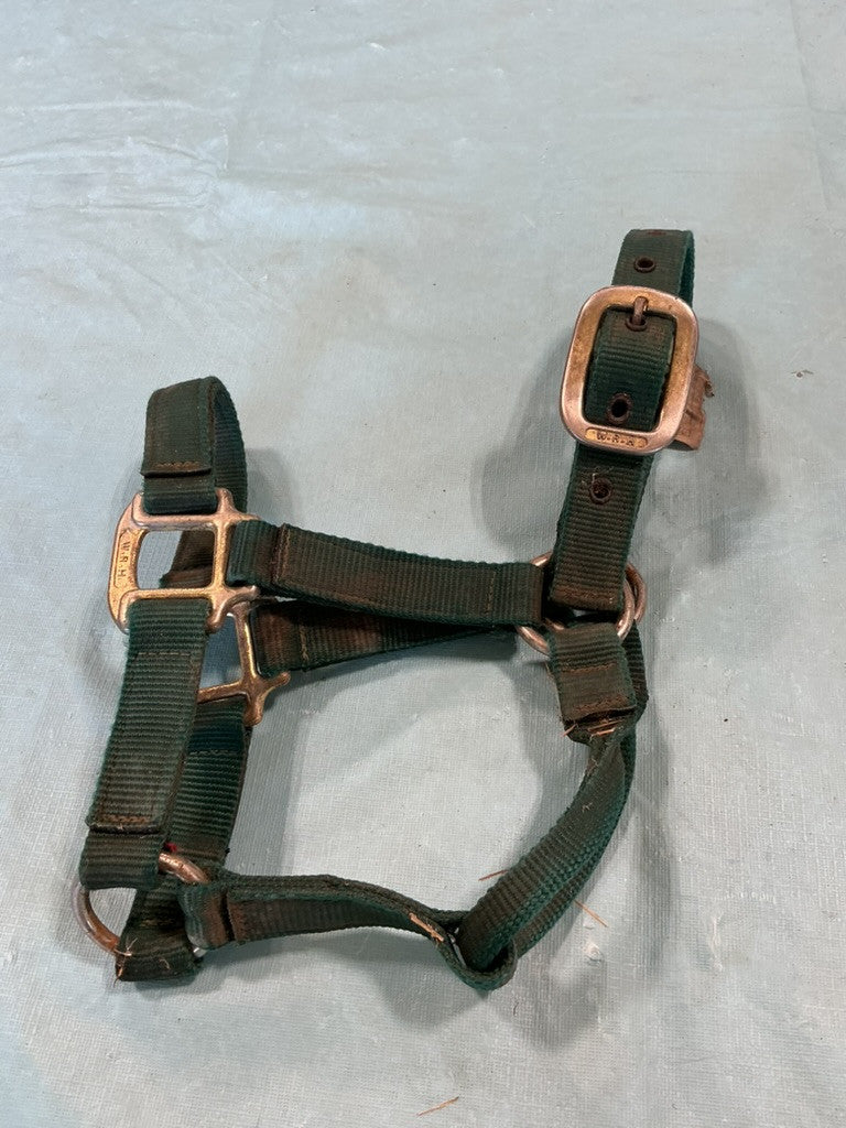 halter nylon green Yearling/Pony