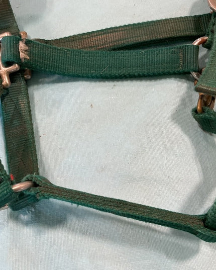 halter nylon