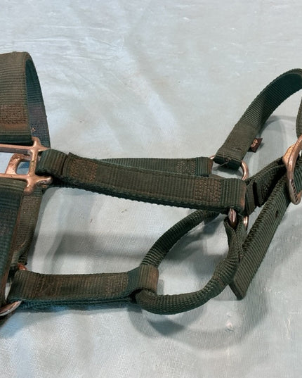 hlater nylon green