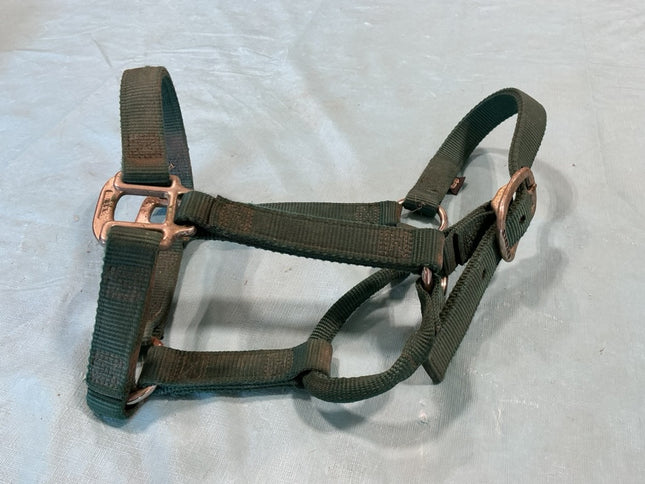 hlater nylon green