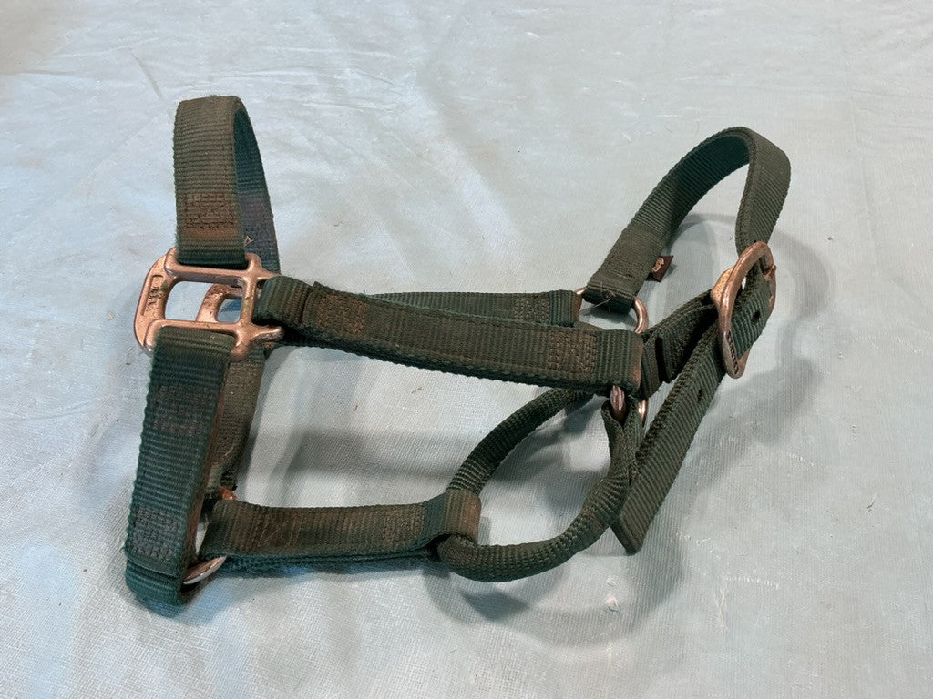 hlater nylon green