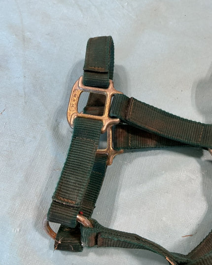 halter nylon green Yearling/Pony