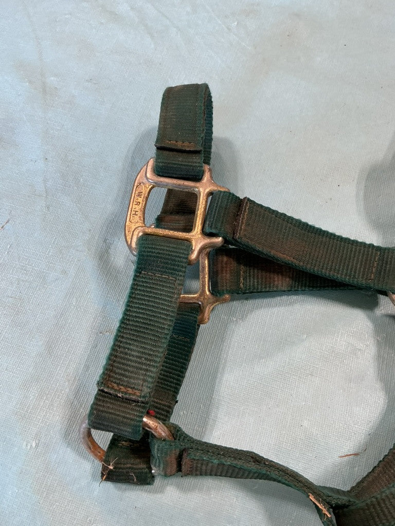 halter nylon green Yearling/Pony