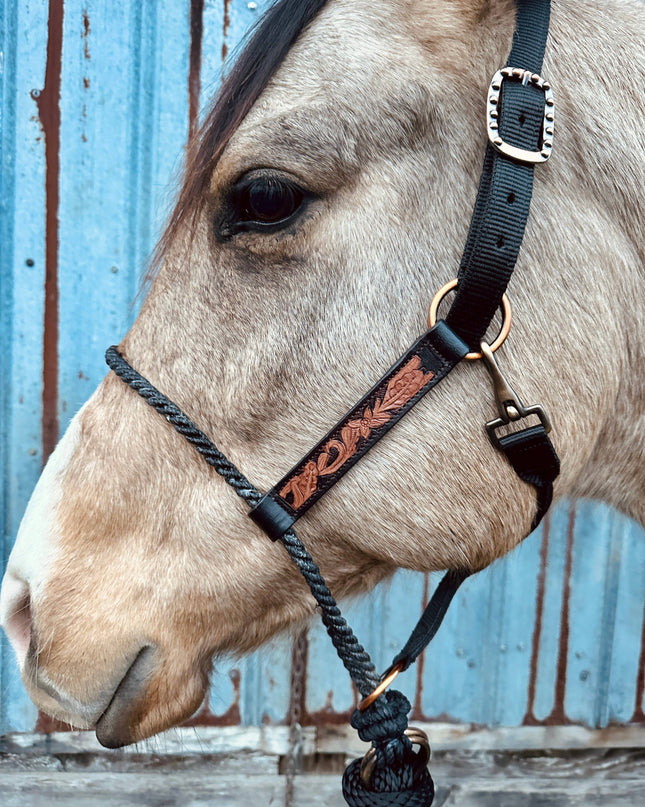 Lariat Nose Halter: Tooled Leather