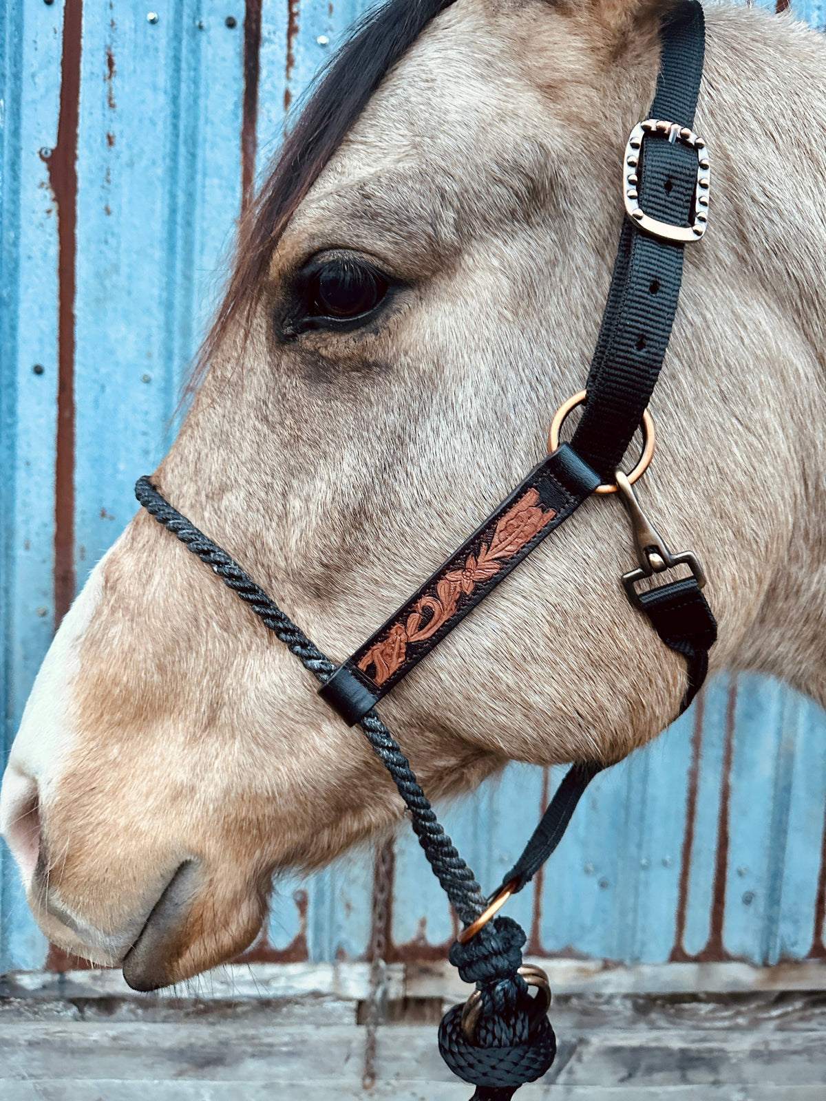Lariat Nose Halter: Tooled Leather