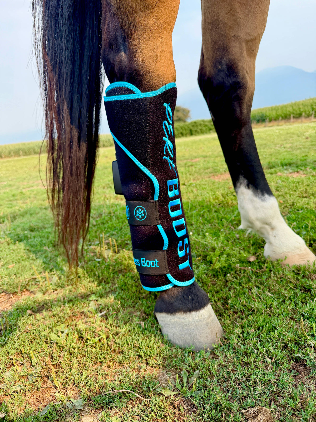 Perf Boost Cold Pressed Ice Boots