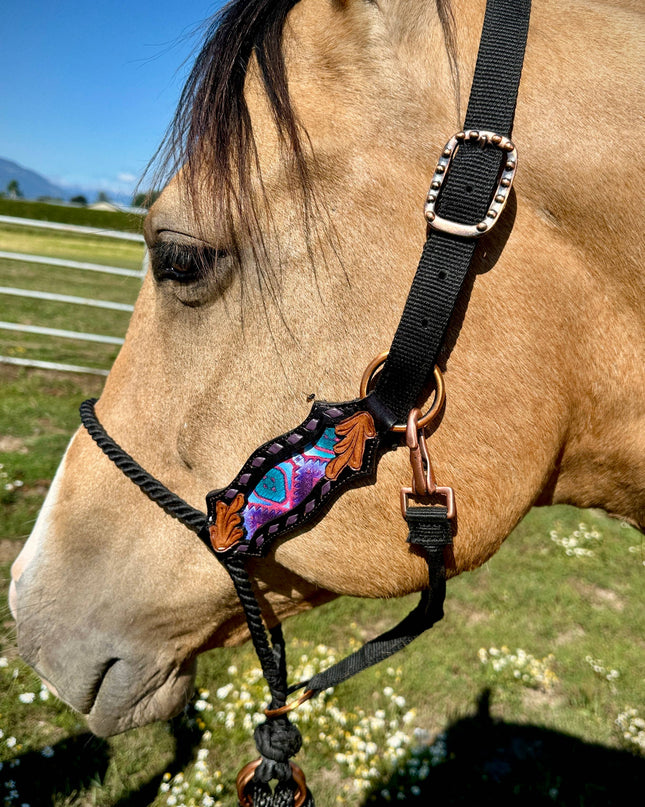 Lariat Nose Halter: Rio