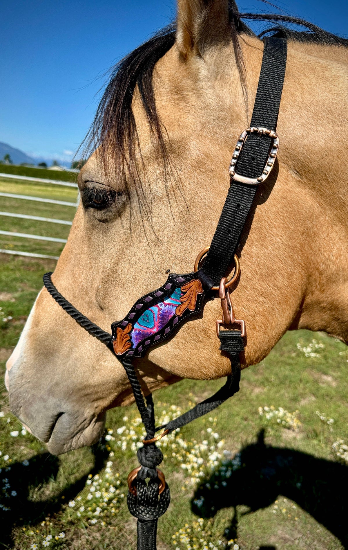 Lariat Nose Halter: Rio