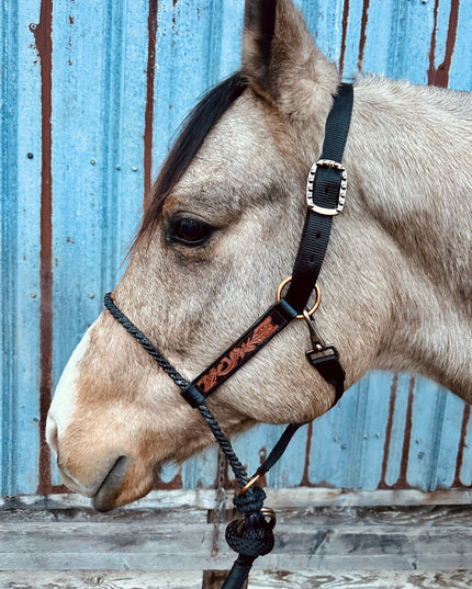 Lariat Nose Halter: Tooled Leather